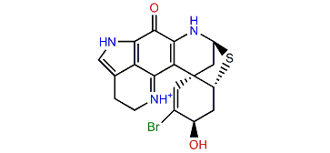 (3R,5R,6S,8S)-3-Dihydrodiscorhabdin A